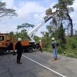 OPTIMIZAN RED ELÉCTRICA EN PUENTE GÓMEZ MEDIANTE PLAN PICA Y PODA