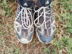 LAS HUELLAS QUE NOS LLEVAN A CASA